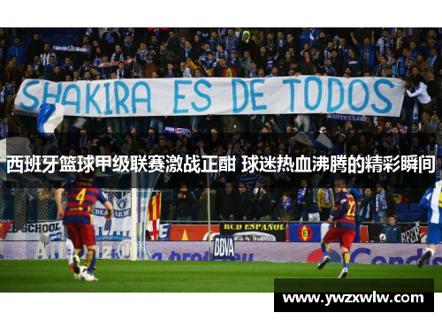 西班牙篮球甲级联赛激战正酣 球迷热血沸腾的精彩瞬间