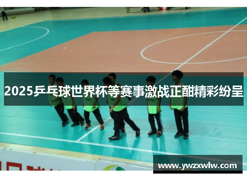 2025乒乓球世界杯等赛事激战正酣精彩纷呈